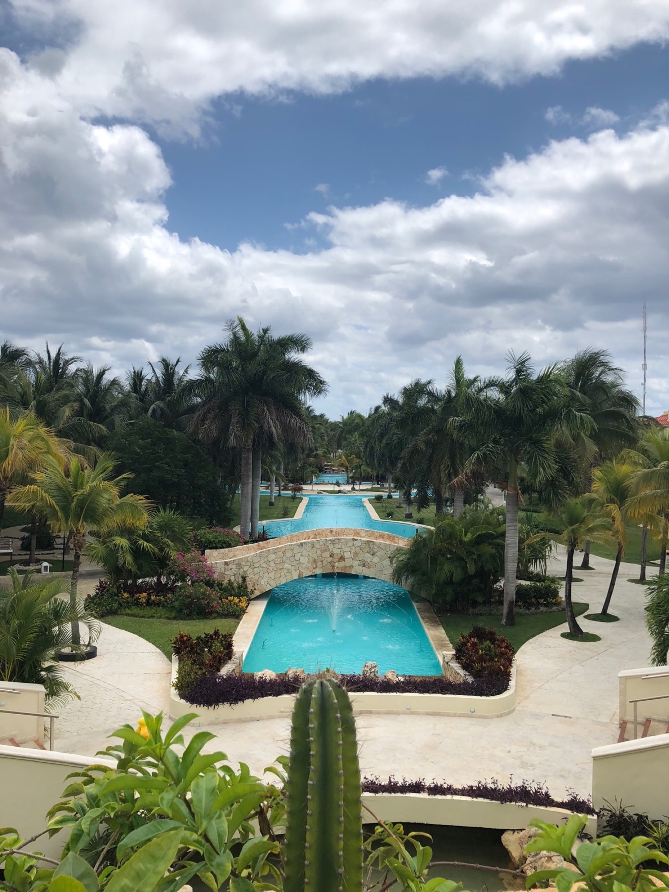 Palm-lined resort pool with a stone bridge
